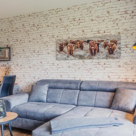 Wilder Hans 圣安德里斯伯格