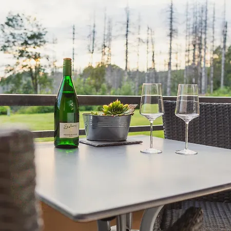 Wilder Hans * זנקט אנדריאסברג